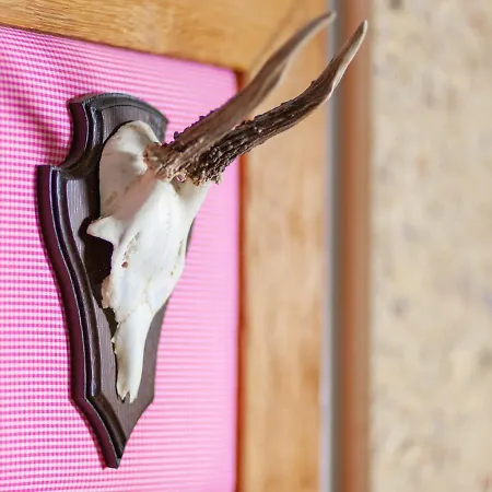 Vitalis Willingen (Upland)