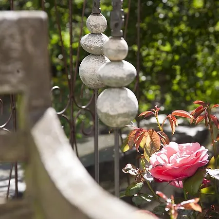 Casa de hóspedes Vitalis 4*