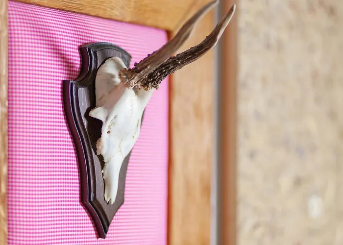 Vitalis Willingen (Upland)